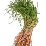 Und die Schwester mit Mönchsbart : eine wirklich außergewöhnliche Quichevariante