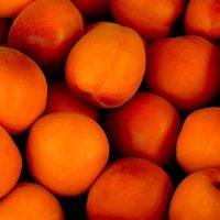apricots, tropical fruits, fruits-1556851.jpg